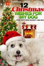 Watch 12 Christmas Wishes For My Dog 9Movies