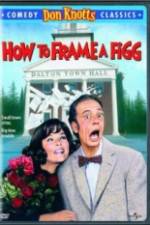 Watch How to Frame a Figg 9Movies