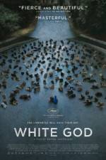 Watch Feh�r isten 9Movies