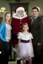Watch The Case for Christmas 9Movies