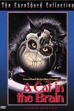 Watch Un gatto nel cervello 9Movies