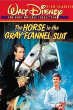 Watch The Horse in the Gray Flannel Suit 9Movies
