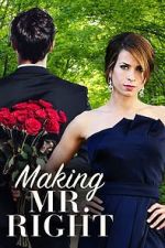 Watch Making Mr. Right 9Movies