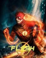 Watch The Flash: Test Run (Short 2024) 9Movies