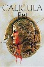 Watch Caligula's Pet 9Movies