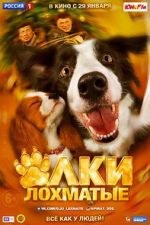 Watch Paws, Bones & Rock\'n\'roll 9Movies