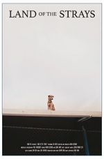 Watch Land of the Strays (Short 2018) 9Movies
