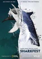 Watch Man vs. Shark 9Movies