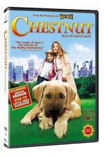 Watch Chestnut - Hero of Central Park 9Movies