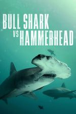 Watch Bull Shark vs Hammerhead 9Movies