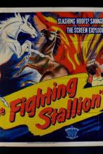 Watch The Fighting Stallion 9Movies