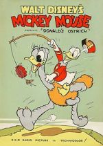 Watch Donald\'s Ostrich (Short 1937) 9Movies