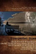 Watch Unexpected Guest 9Movies