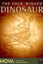 Watch NOVA: The Four-Winged Dinosaur 9Movies