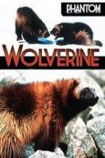 Watch National Geographic  Phantom Wolverine 9Movies