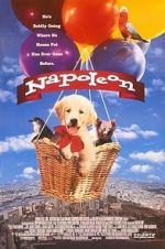 Watch Napoleon 9Movies