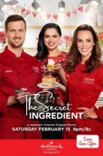 Watch The Secret Ingredient 9Movies