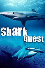 Watch Shark Quest 9Movies