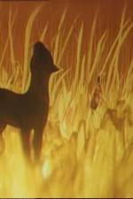Watch The Cat Who Walked by Herself 9Movies