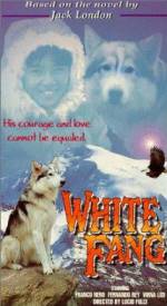 Watch Zanna Bianca 9Movies