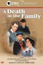 Watch A Death in the Family 9Movies