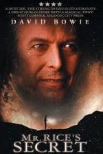 Watch Mr. Rice's Secret 9Movies