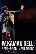 Watch W. Kamau Bell: Semi-Promenint Negro 9Movies