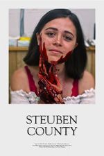 Watch Steuben County 9Movies