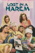 Watch Lost in a Harem 9Movies