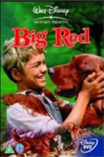 Watch Big Red 9Movies
