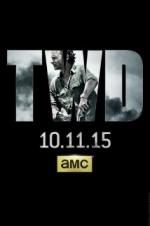 Watch The Walking Dead 9Movies