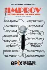 Watch The Improv: 50 Years Behind the Brick Wall (TV Special 2013) 9Movies