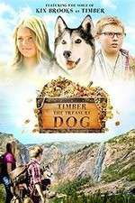Watch Timber the Treasure Dog 9Movies