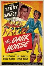 Watch The Dark Horse 9Movies