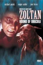 Watch Dracula's Dog 9Movies