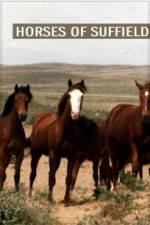 Watch Horses of Suffield 9Movies