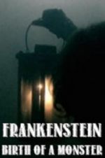 Watch Frankenstein: Birth of a Monster 9Movies