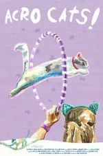 Watch Samantha\'s Amazing Acro-Cats 9Movies