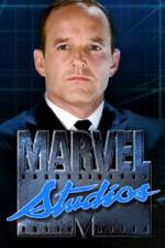 Watch Marvel One-Shot The Consultant 9Movies