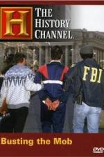Watch The History Channel: Busting the Mob 9Movies