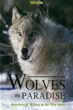 Watch Wolves in Paradise 9Movies
