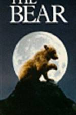 Watch The Bear - (L'ours) 9Movies