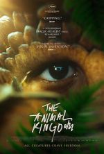 Watch The Animal Kingdom 9Movies