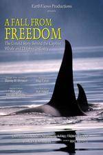 Watch A Fall from Freedom 9Movies