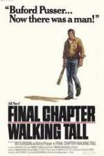Watch Final Chapter Walking Tall 9Movies
