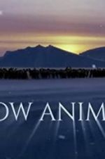 Watch Snow Animals 9Movies