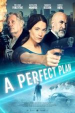 Watch A Perfect Plan 9Movies