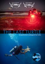 Watch The Last Turtle (Short 2019) 9Movies