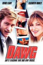 Watch Bad Boy 9Movies