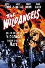 Watch The Wild Angels 9Movies